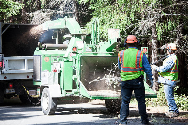 Best Lot and Land Clearing  in Fort Myers Beach, FL